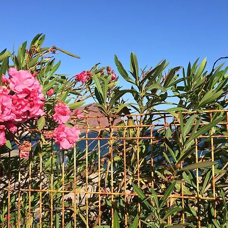 Sotavento I アパート La Mareta
